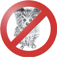 kakdog